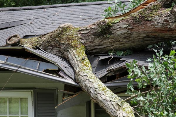 Storm Remediation in Elgin
