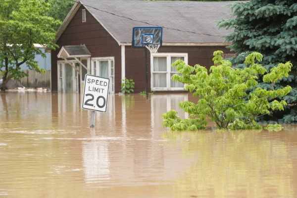 Storm Restoration Service in Elgin