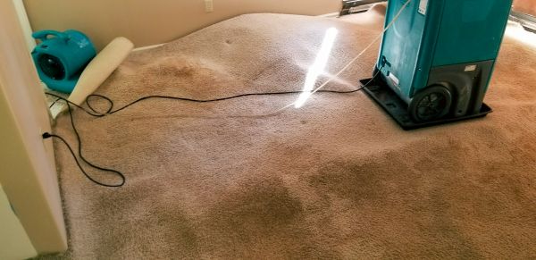 Flood Damage Cleanup in Elgin