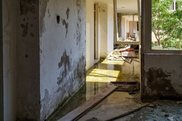 Water Removal Service in Elgin