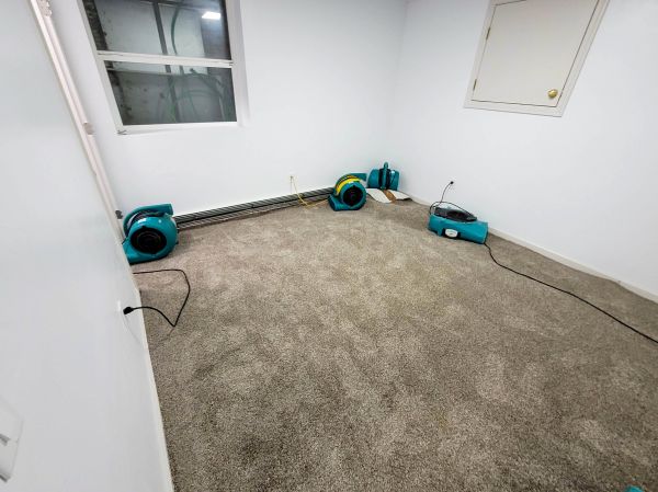 Flood Restoration Service in Elgin